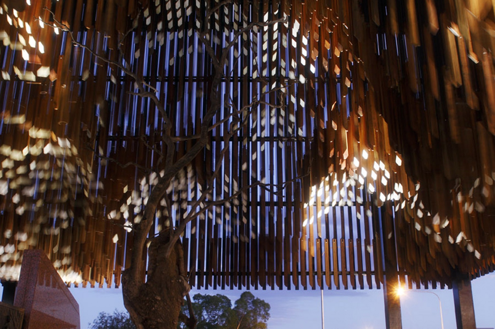 Tree of knowledge memorial in barcaldine m3architecture